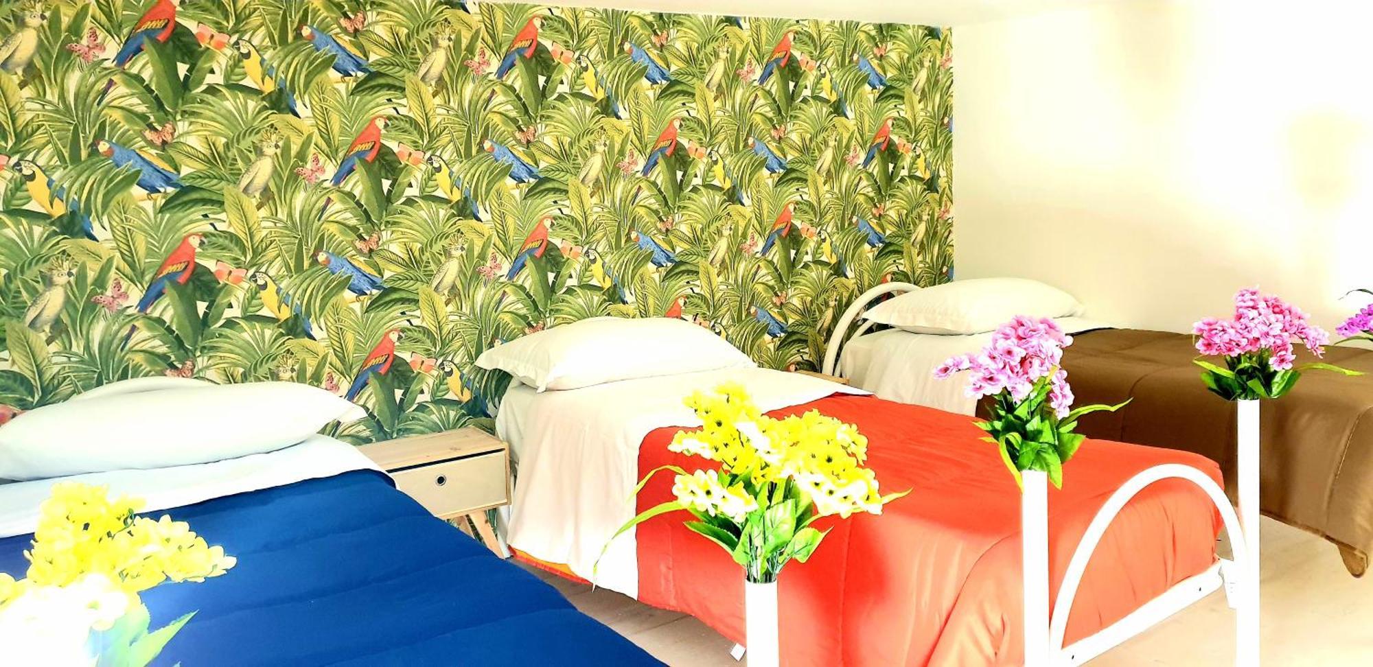 B&B Napoli Citta Room photo